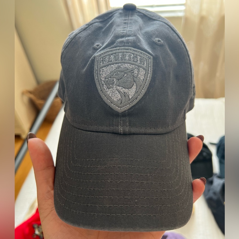 Florida panthers cap - sparkly team symbol